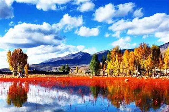 雙凱智能：說走就走旅行？有TA更輕松